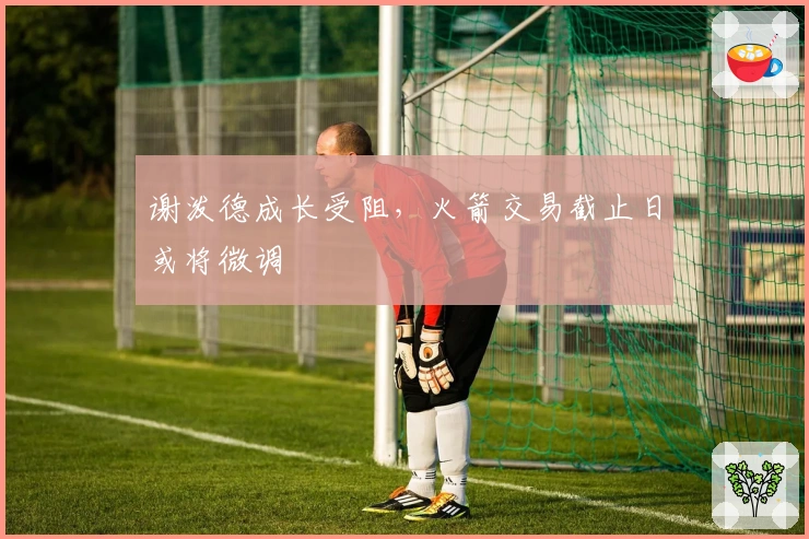 谢泼德成长受阻，火箭交易截止日或将微调