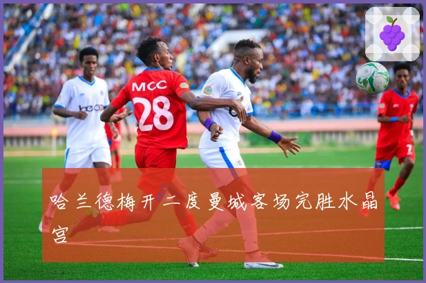 哈兰德梅开二度曼城客场完胜水晶宫