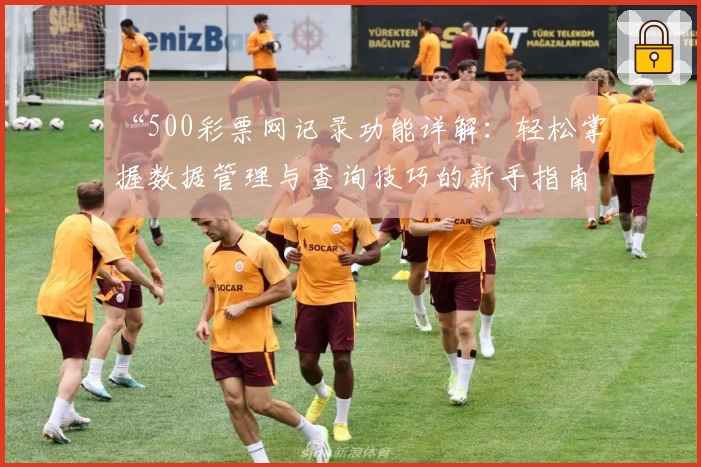 “500彩票网记录功能详解：轻松掌握数据管理与查询技巧的新手指南”